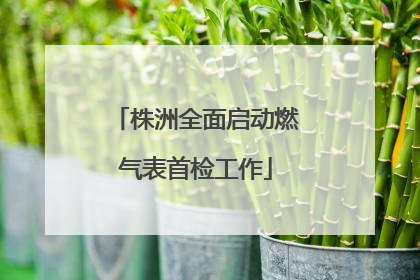 株洲全面启动燃气表首检工作