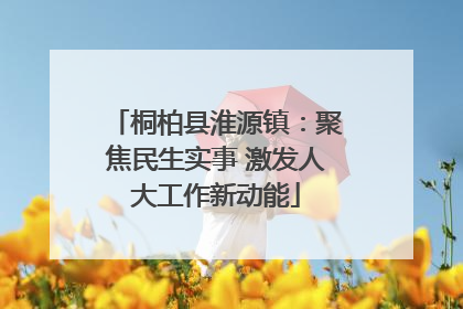桐柏县淮源镇：聚焦民生实事 激发人大工作新动能