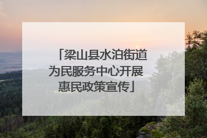 梁山县水泊街道为民服务中心开展惠民政策宣传