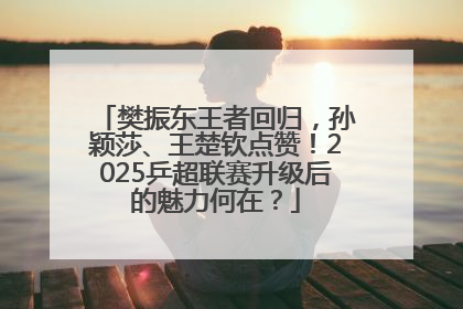 樊振东王者回归，孙颖莎、王楚钦点赞！2025乒超联赛升级后的魅力何在？