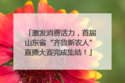 激发消费活力，首届山东省“齐鲁新农人”直播大赛完成集结！