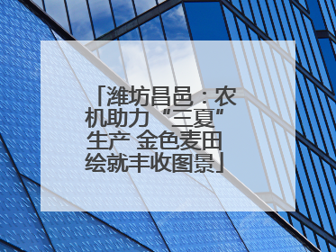 潍坊昌邑：农机助力“三夏”生产 金色麦田绘就丰收图景