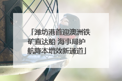潍坊港首迎澳洲铁矿直达船 海事局护航降本增效新通道