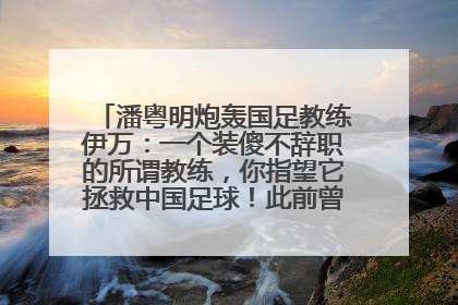 潘粤明炮轰国足教练伊万：一个装傻不辞职的所谓教练，你指望它拯救中国足球！此前曾多次发文评价国足