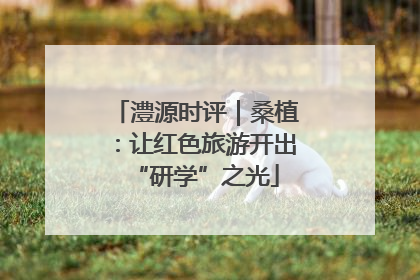 澧源时评｜桑植：让红色旅游开出“研学”之光