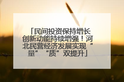 民间投资保持增长 创新动能持续增强！河北民营经济发展实现“量”“质”双提升