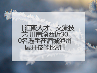 汇聚人才、交流技艺 川南渝西近300名选手在酒城泸州展开技能比拼