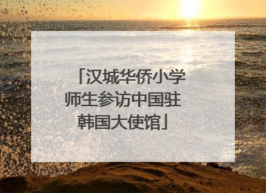 汉城华侨小学师生参访中国驻韩国大使馆
