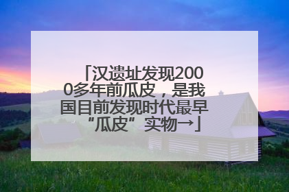 汉遗址发现2000多年前瓜皮，是我国目前发现时代最早“瓜皮”实物→