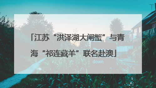 江苏“洪泽湖大闸蟹”与青海“祁连藏羊”联名赴澳