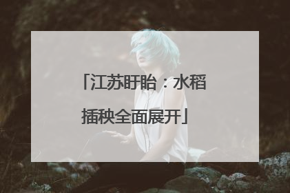 江苏盱眙：水稻插秧全面展开