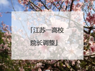 江苏一高校院长调整