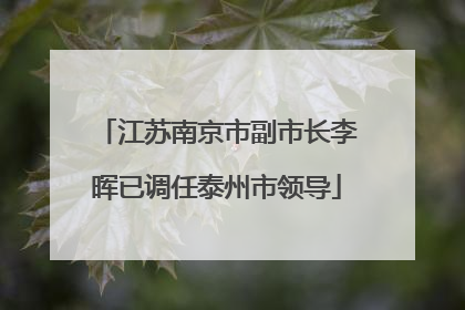 江苏南京市副市长李晖已调任泰州市领导