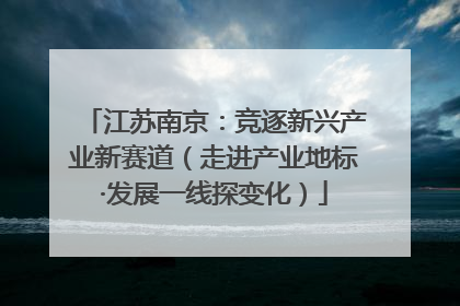 江苏南京：竞逐新兴产业新赛道（走进产业地标·发展一线探变化）