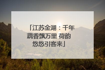 江苏金湖：千年藕香飘万里 荷韵悠悠引客来