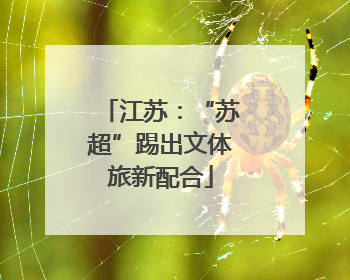 江苏：“苏超”踢出文体旅新配合
