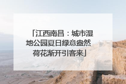 江西南昌：城市湿地公园夏日绿意盎然 荷花渐开引客来
