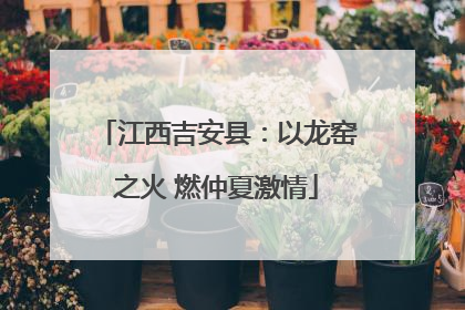 江西吉安县：以龙窑之火 燃仲夏激情