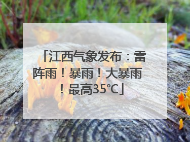 江西气象发布：雷阵雨！暴雨！大暴雨！最高35℃