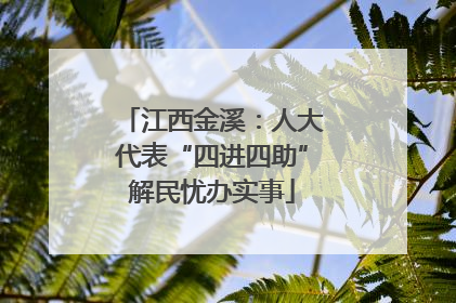 江西金溪：人大代表“四进四助”解民忧办实事