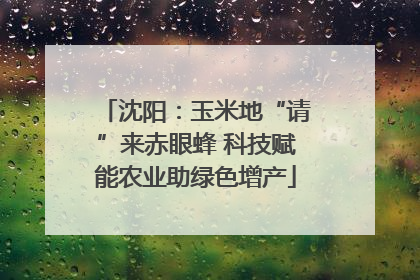 沈阳：玉米地“请”来赤眼蜂 科技赋能农业助绿色增产