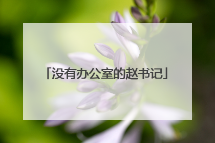 没有办公室的赵书记