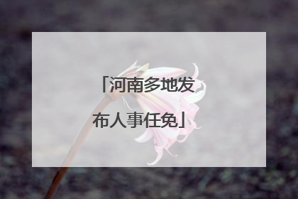 河南多地发布人事任免