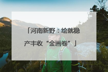 河南新野：绘就稳产丰收“金画卷”