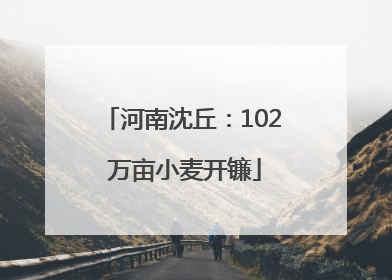 河南沈丘：102 万亩小麦开镰