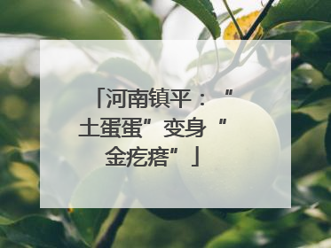 河南镇平：“土蛋蛋”变身“金疙瘩”