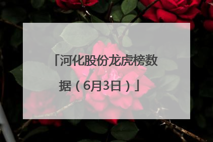 河化股份龙虎榜数据（6月3日）