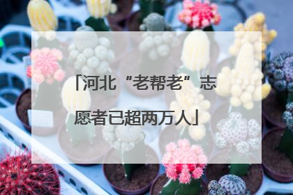 河北“老帮老”志愿者已超两万人