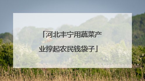 河北丰宁用蔬菜产业撑起农民钱袋子