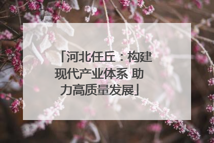 河北任丘：构建现代产业体系 助力高质量发展