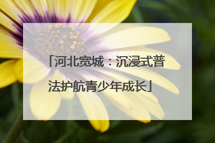 河北宽城：沉浸式普法护航青少年成长
