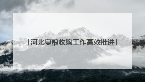 河北夏粮收购工作高效推进