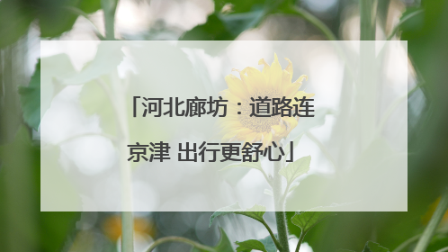 河北廊坊：道路连京津 出行更舒心