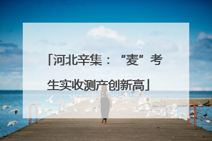 河北辛集：“麦”考生实收测产创新高