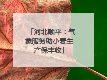河北顺平：气象服务助小麦生产保丰收