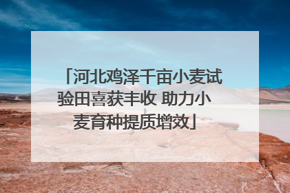 河北鸡泽千亩小麦试验田喜获丰收 助力小麦育种提质增效