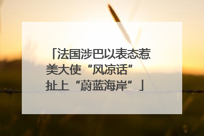 法国涉巴以表态惹美大使“风凉话” 扯上“蔚蓝海岸”