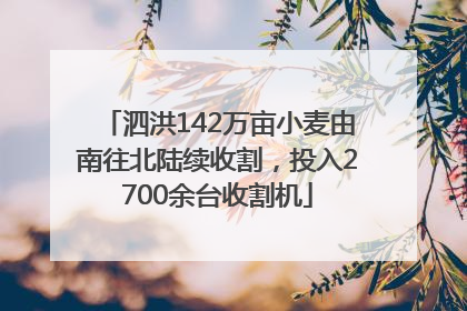 泗洪142万亩小麦由南往北陆续收割，投入2700余台收割机