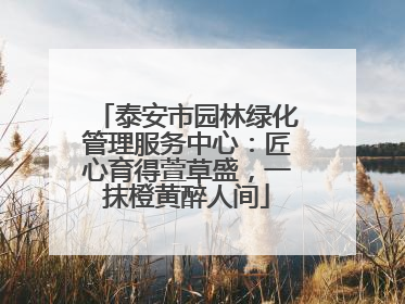 泰安市园林绿化管理服务中心：匠心育得萱草盛，一抹橙黄醉人间