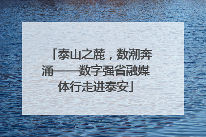 泰山之麓，数潮奔涌——数字强省融媒体行走进泰安