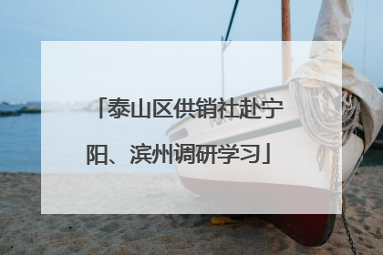 泰山区供销社赴宁阳、滨州调研学习