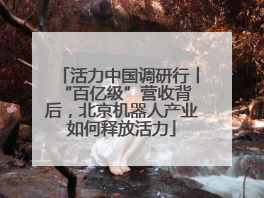 活力中国调研行丨 “百亿级”营收背后，北京机器人产业如何释放活力