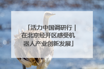 活力中国调研行｜在北京经开区感受机器人产业创新发展