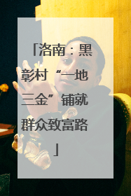 洛南：黑彰村“一地三金”铺就群众致富路
