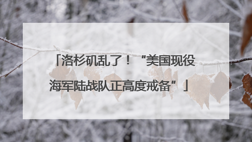洛杉矶乱了！“美国现役海军陆战队正高度戒备”