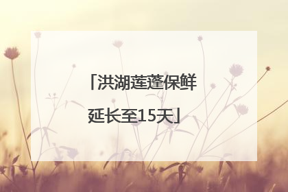 洪湖莲蓬保鲜延长至15天